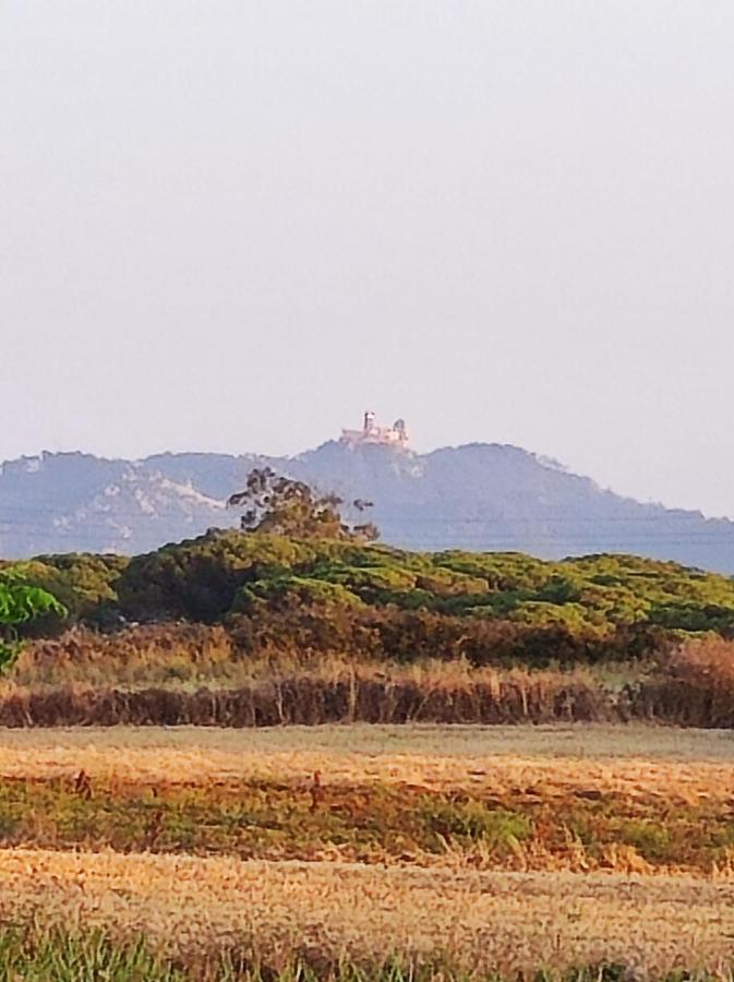 Sintra Home エクステリア 写真